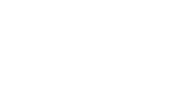 N9 Strategy